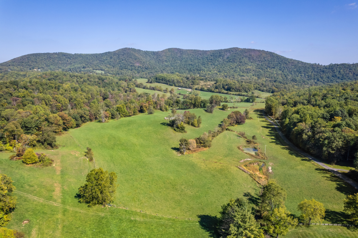 Thomas & Talbot | Hitch Hollow Farm